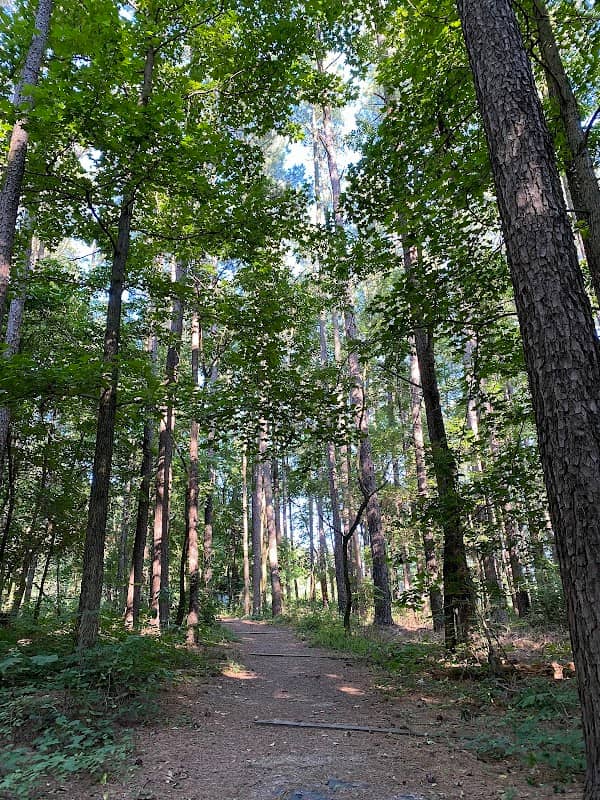 Harmony Trail - Image 1