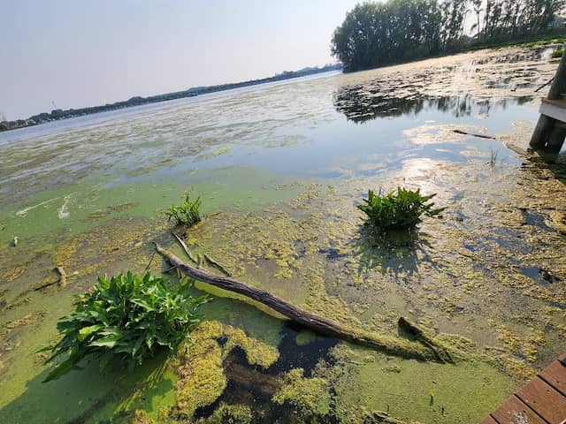 Mill Point Preserve - Image 1