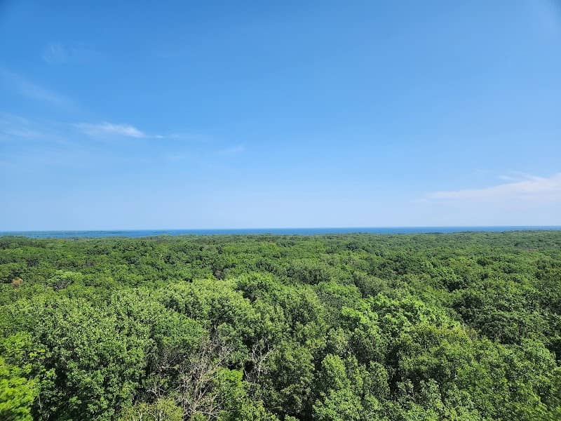 Kathio Observation Tower - Image 1