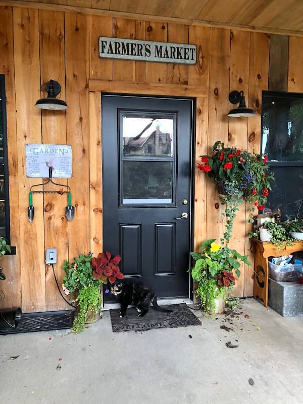 Violets in the Barn - Image 1