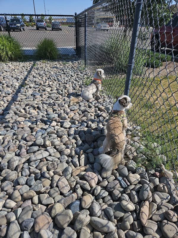 Dog Park at Love's Travel Stops - Image 1