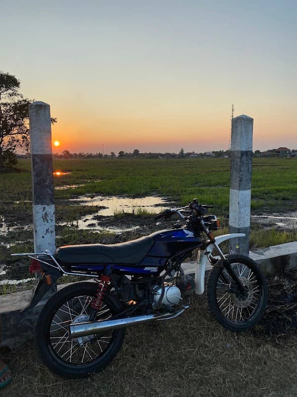 Tuang Kebon Sowong - Image 2