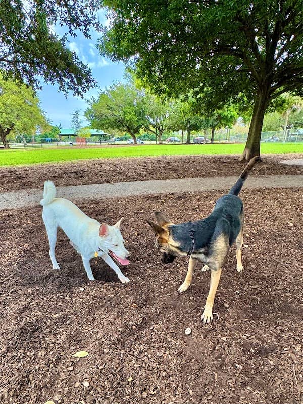 Lake Ida Dog Park - Image 2