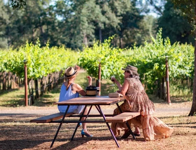 Burnsini Vineyards - Image 1