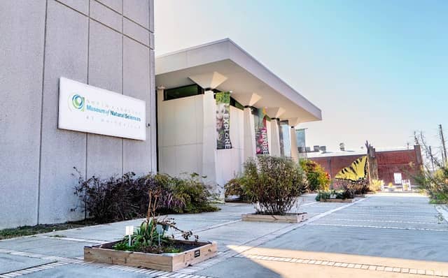 North Carolina Museum of Natural Sciences at Whiteville - Image 1