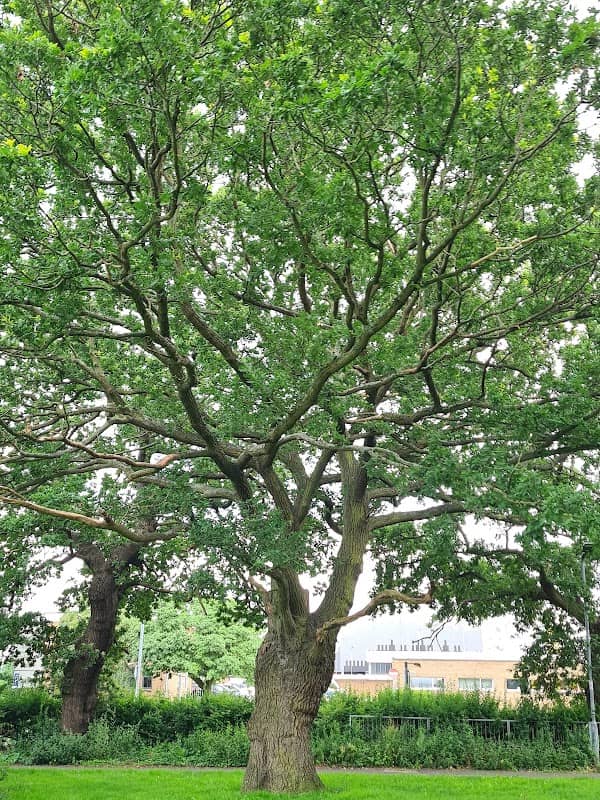 Audley Way Open Space - Image 2