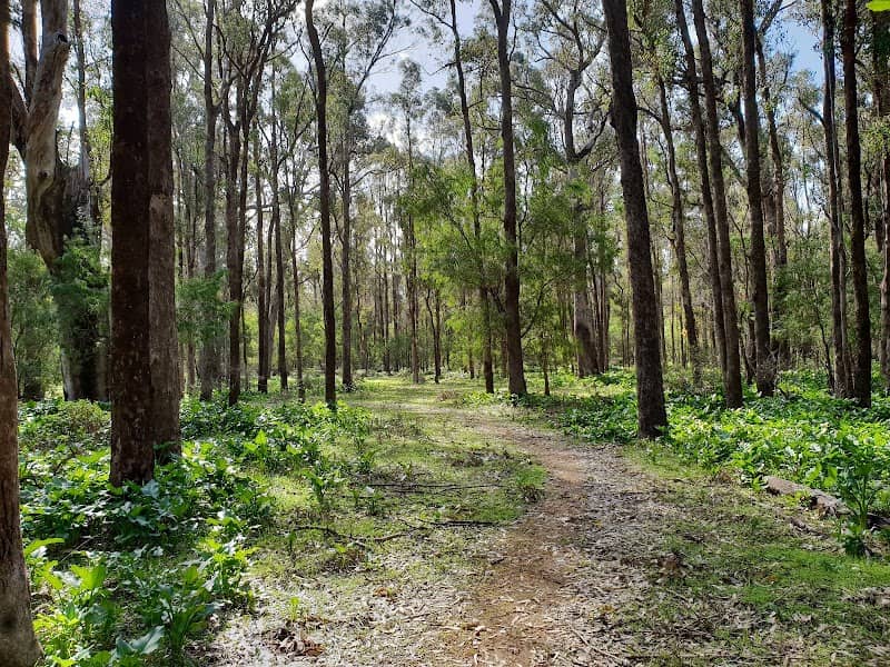 Tuart Discovery Trail - Image 1