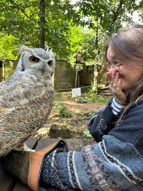 Kent Owl Academy - Image 1