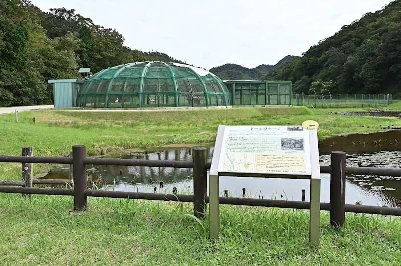 Stork Flying Cage - Image 1