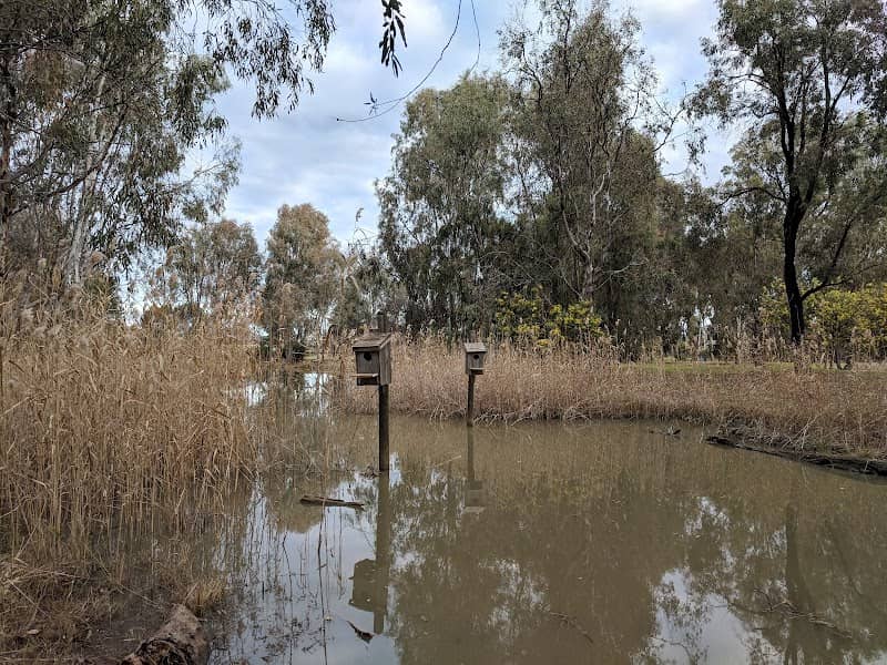 Yarrawonga Eastern Foreshore - Image 2
