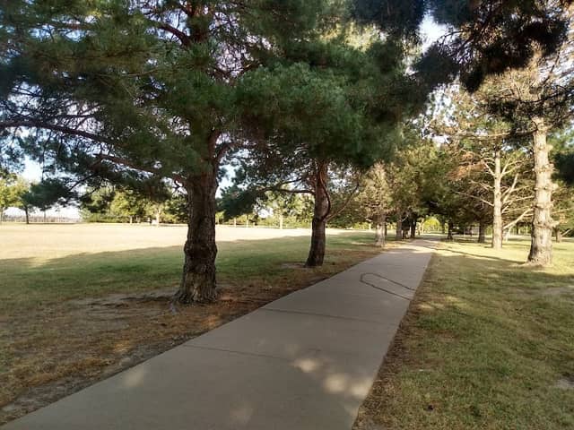 Tera Jordaan Memorial Park - Image 2