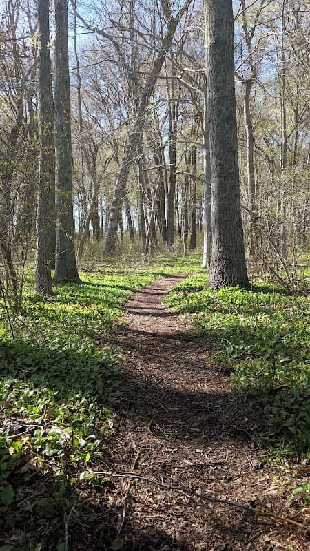 Albro Woods Trailhead Parking - Image 1