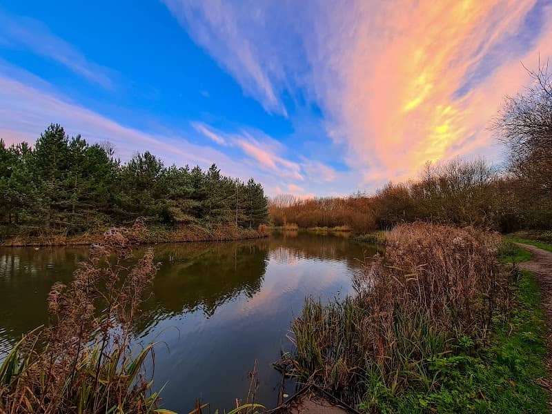 Noddle Hill Way Nature Reserve - Image 2