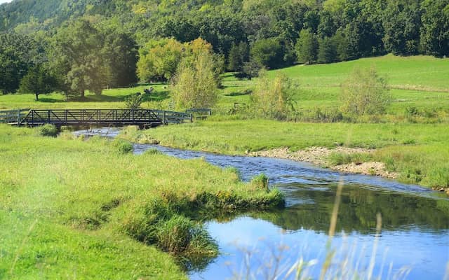 Lodi Spring Creek State Fishery Area - Image 1