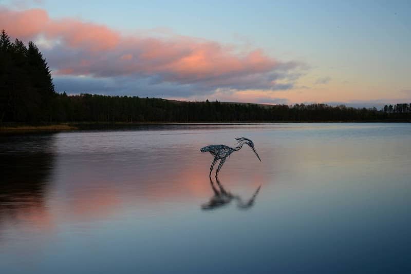 The Wader - Image 2