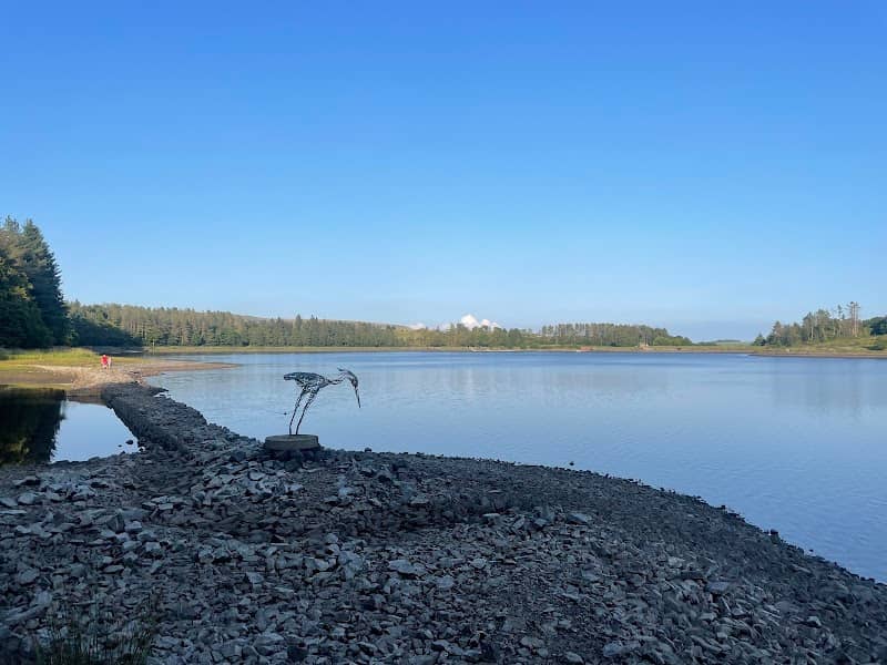 The Wader - Image 1