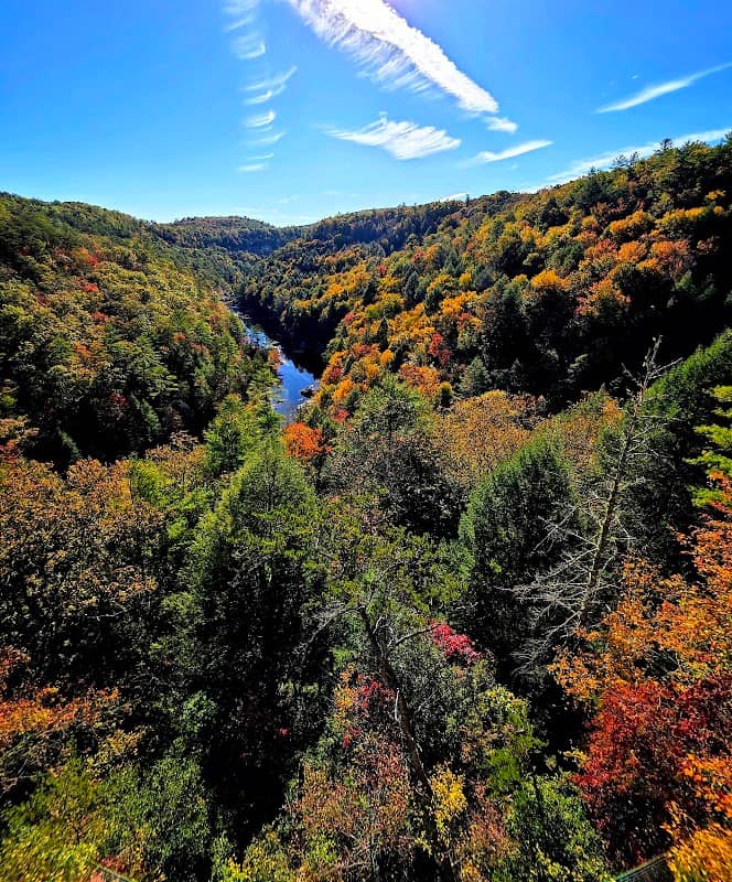 Lilly Bridge, Obed Wild & Scenic River - Image 1