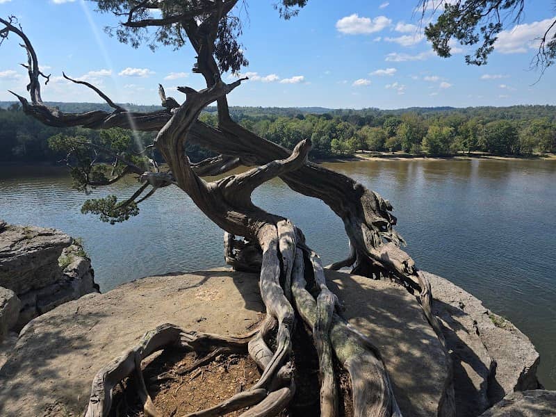 Lady's Bluff TVA Small Wild Area - Image 1
