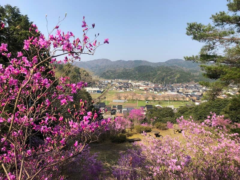 Higashiyama Park - Image 1