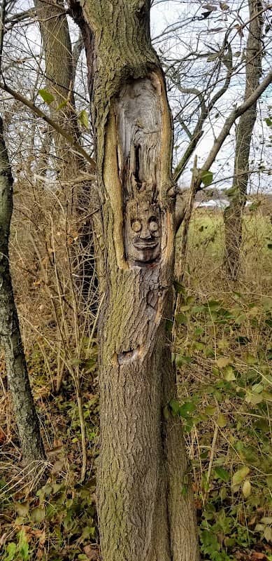Pumpkinvine Nature Trail - Image 2