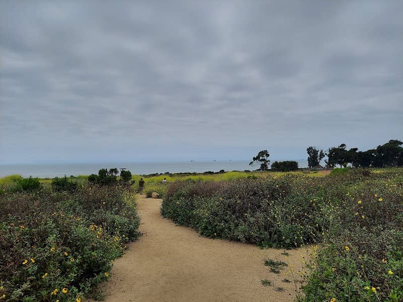 Carpinteria Bluffs Nature Preserve - Image 2