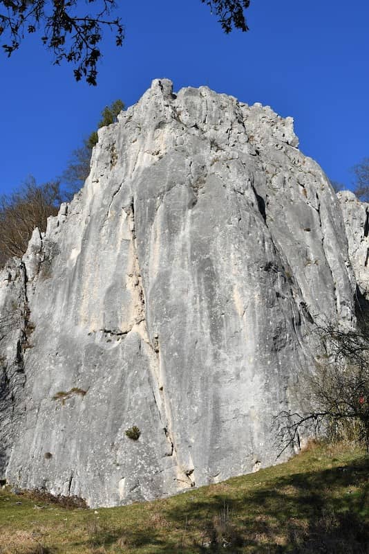 Prunner Wand - Image 1