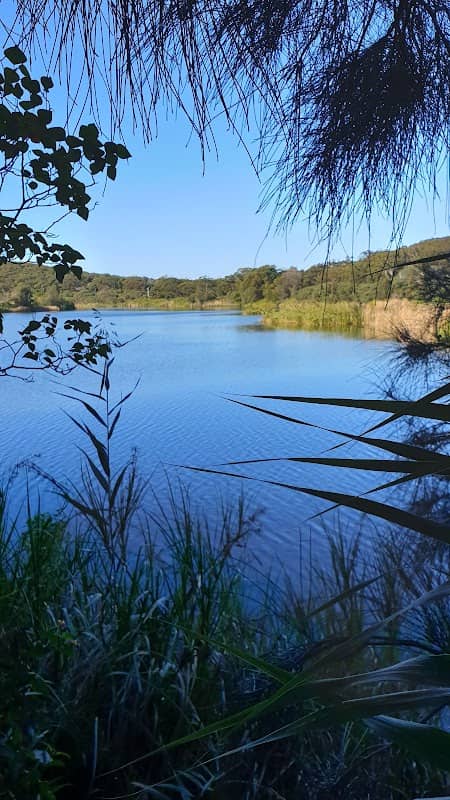 Korrongulla Wetlands - Image 1