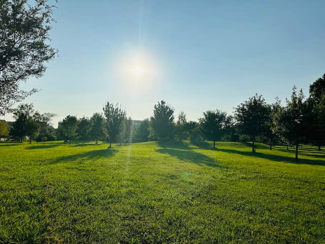 Brandt Park - Image 3