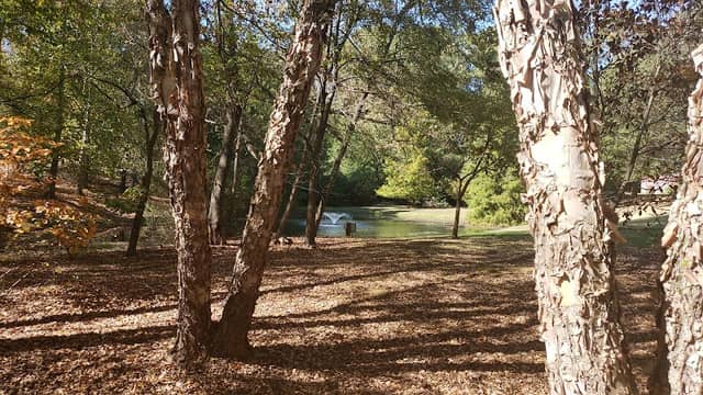 Round Bowl Spring Park - Image 1