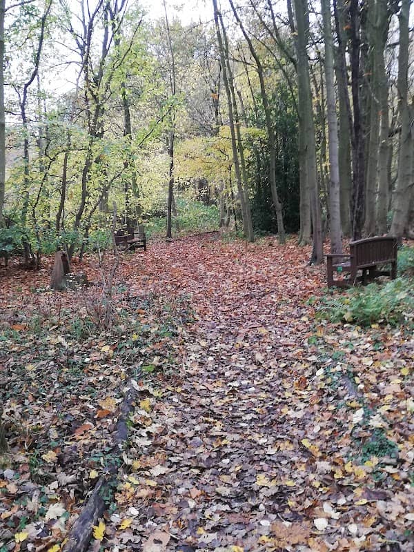 Shadowbrook Woods - Image 2