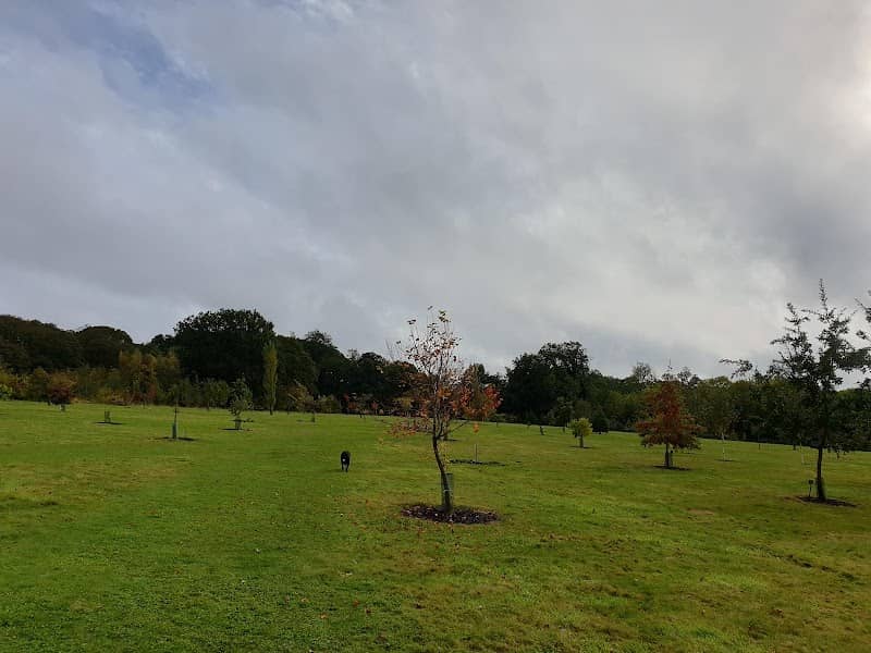 Shadowbrook Woods - Image 1