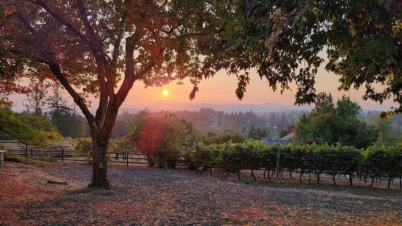 Springhill Cellars Winery (Open May-December) - Image 1