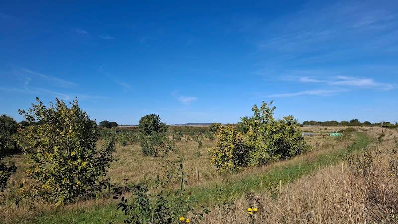 SSSI Grassland Nature Reserve - Coalhouse Fort - Image 1