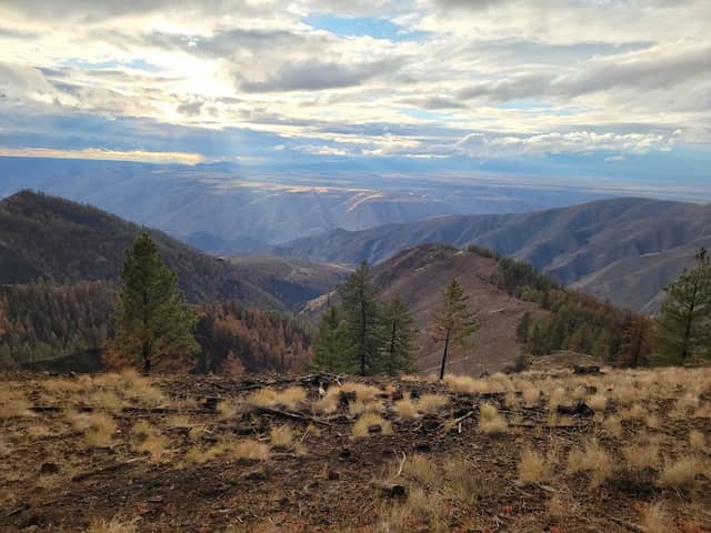 Craig Mountain Wildlife Management Area - Image 3