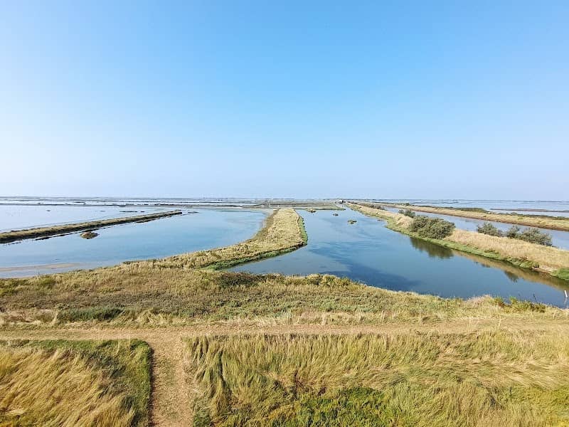 Saline di Comacchio - Image 2