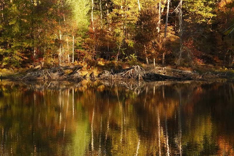 Pocono Environmental Education Center - Image 1