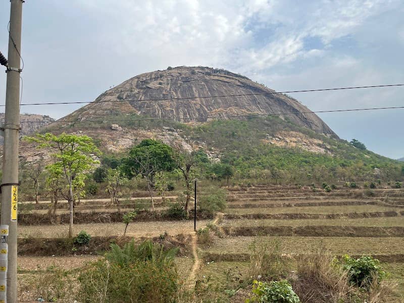 Kansra Hills - Image 1