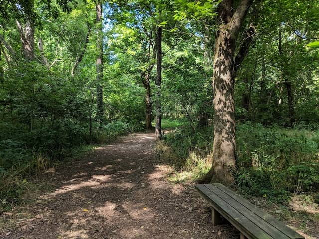 Yellow Creek Park- SE Entrance - Image 2
