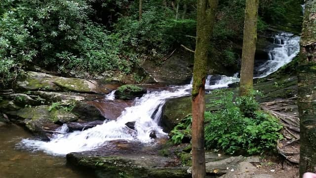 Roaring Fork Falls Trailhead - Image 2