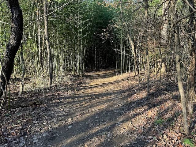 Melvin and Vickie Jensen Nature Preserve and Trails - Image 2