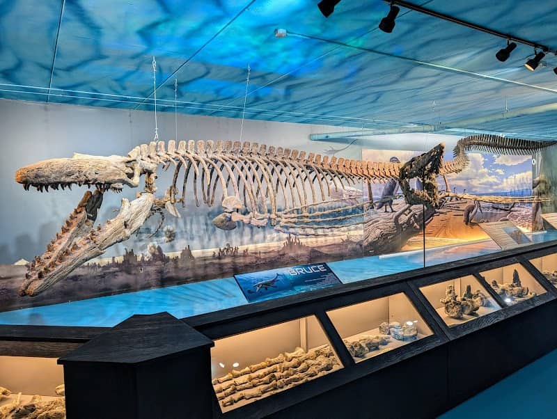 Canadian Fossil Discovery Centre - Image 2