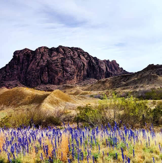 Big Bend National Park - Image 1