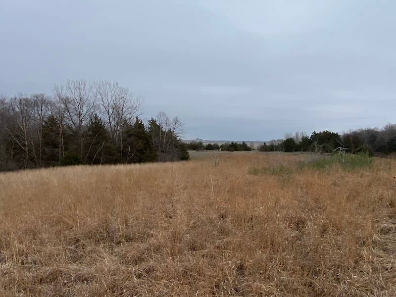 Bearbower Sand Prairie - Image 2