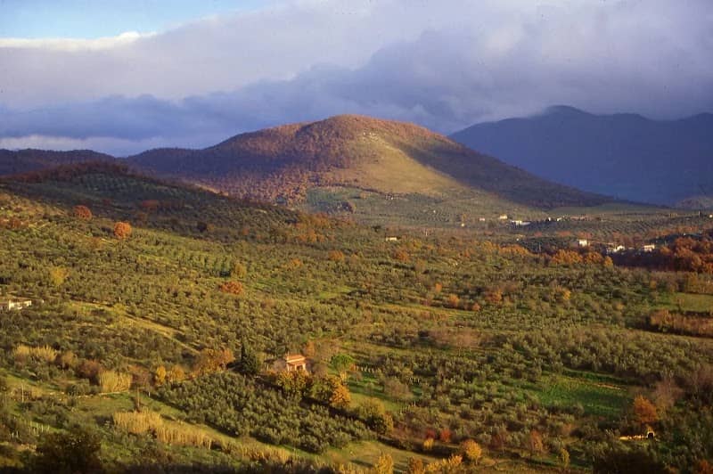 Paesaggio rurale storico: Gli uliveti a terrazze e lunette dei monti Lucretili - Image 1