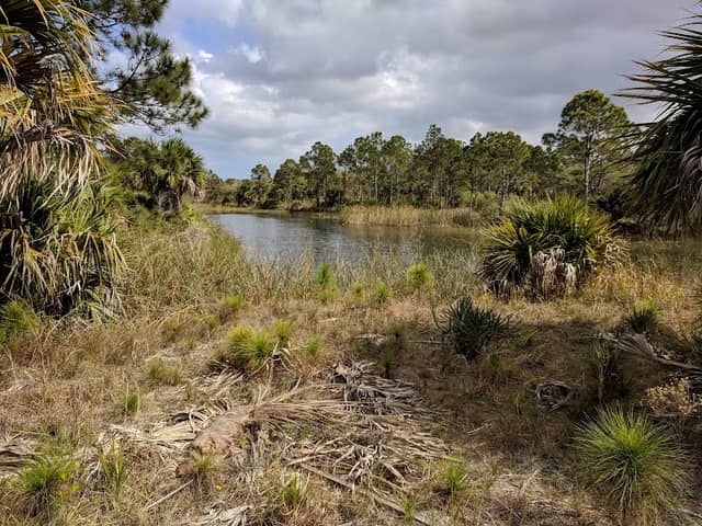 Grant Flatwood Sanctuary - Image 1