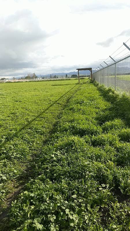 City of Hollister Municipal Park - Image 1