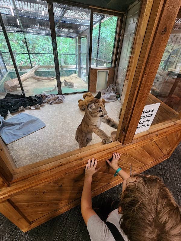 Zoo nature center - Image 2