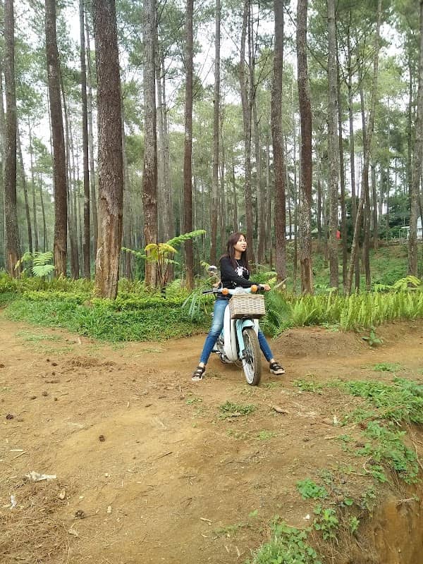 Wahana Fying fox & Motor cross - Bi Land - Image 1
