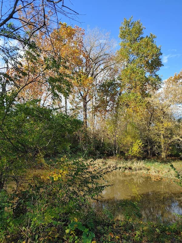Schwartzkopf Park - Image 1