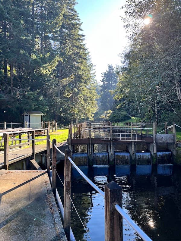 Bandon Fish Hatchery - Image 1